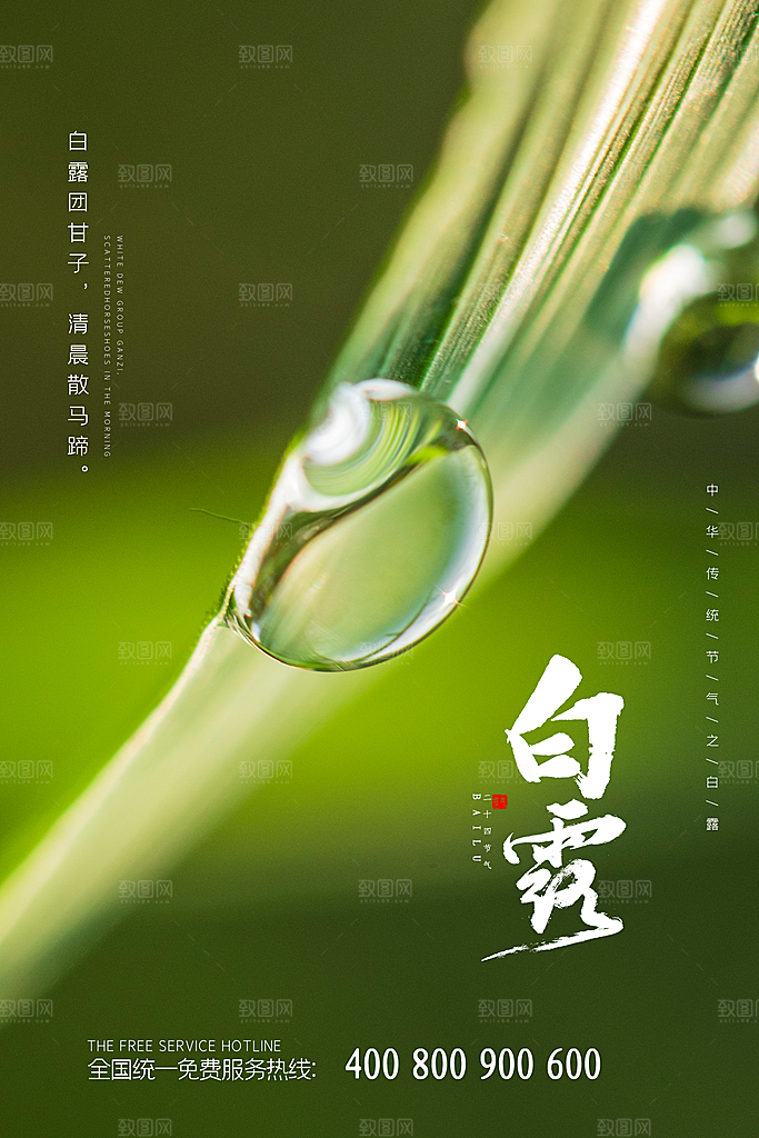 传统节气白露海报模板
