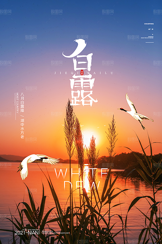 传统节气白露海报模板