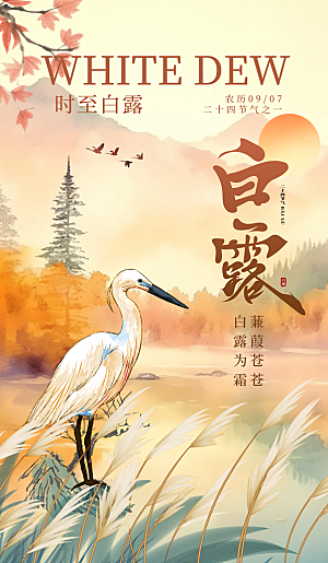 中国传统二十四节气白露节气宣传海报