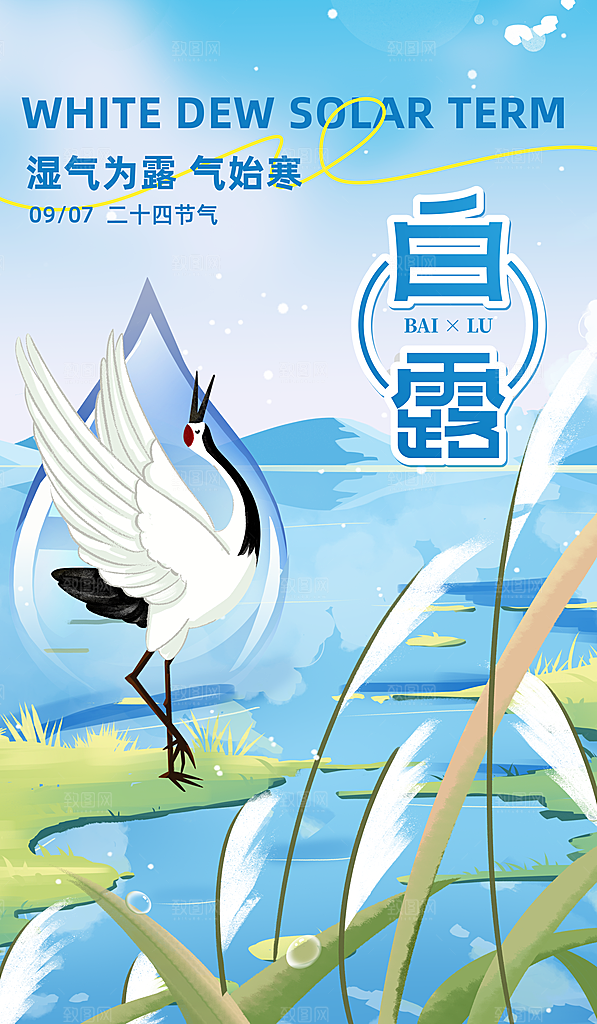 中国传统二十四节气白露节气宣传海报
