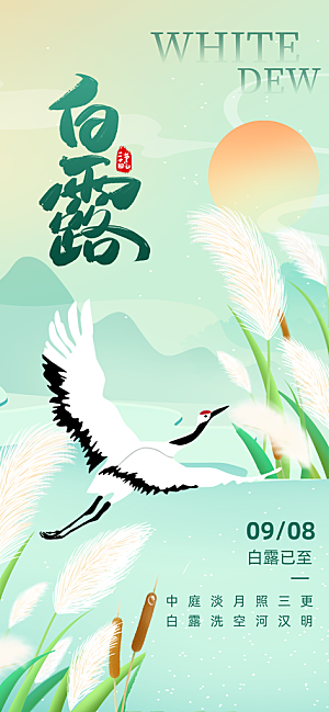 中国传统二十四节气白露节气宣传海报