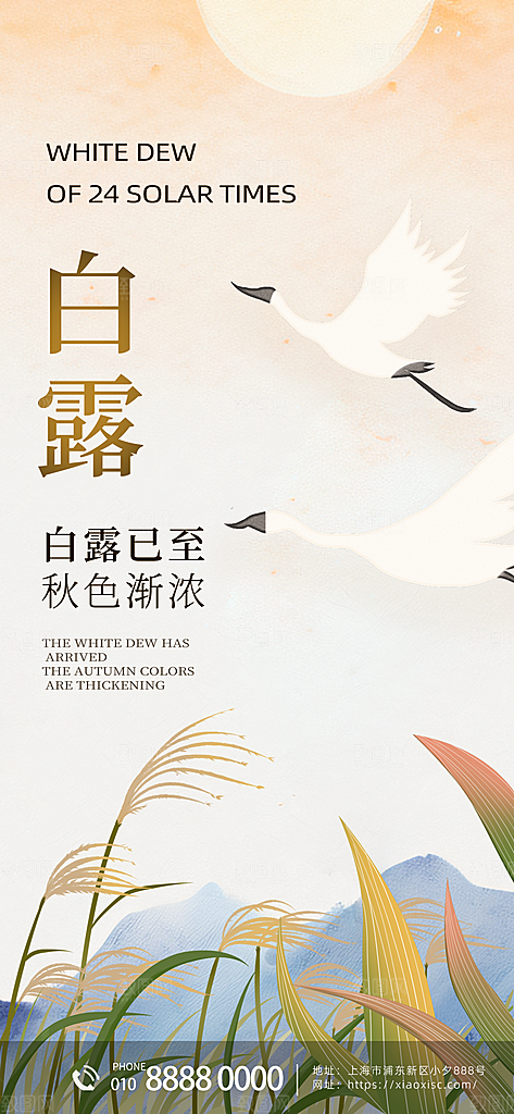 中国传统二十四节气白露节气宣传海报
