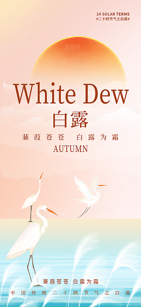 中国传统二十四节气白露节气宣传海报