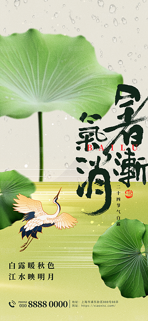 中国传统二十四节气白露节气宣传海报