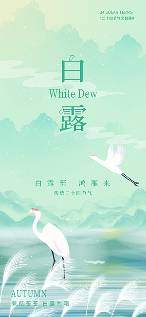 中国传统二十四节气白露节气宣传海报