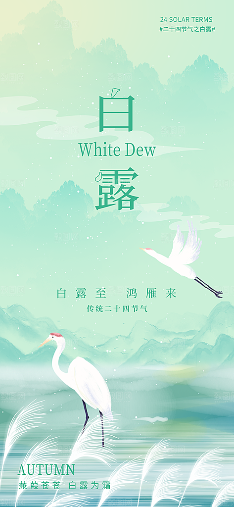中国传统二十四节气白露节气宣传海报