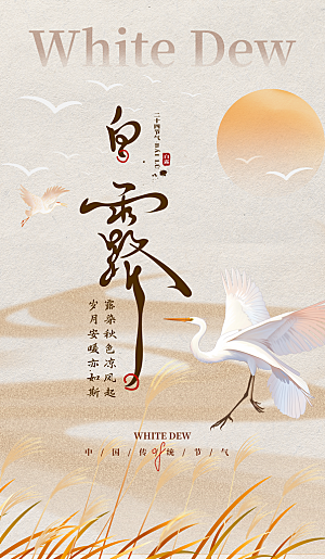 中国传统二十四节气白露节气宣传海报