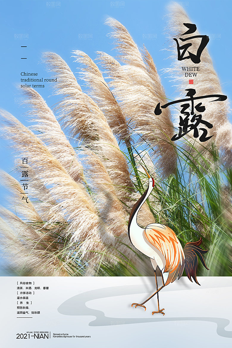 传统节气白露海报模板