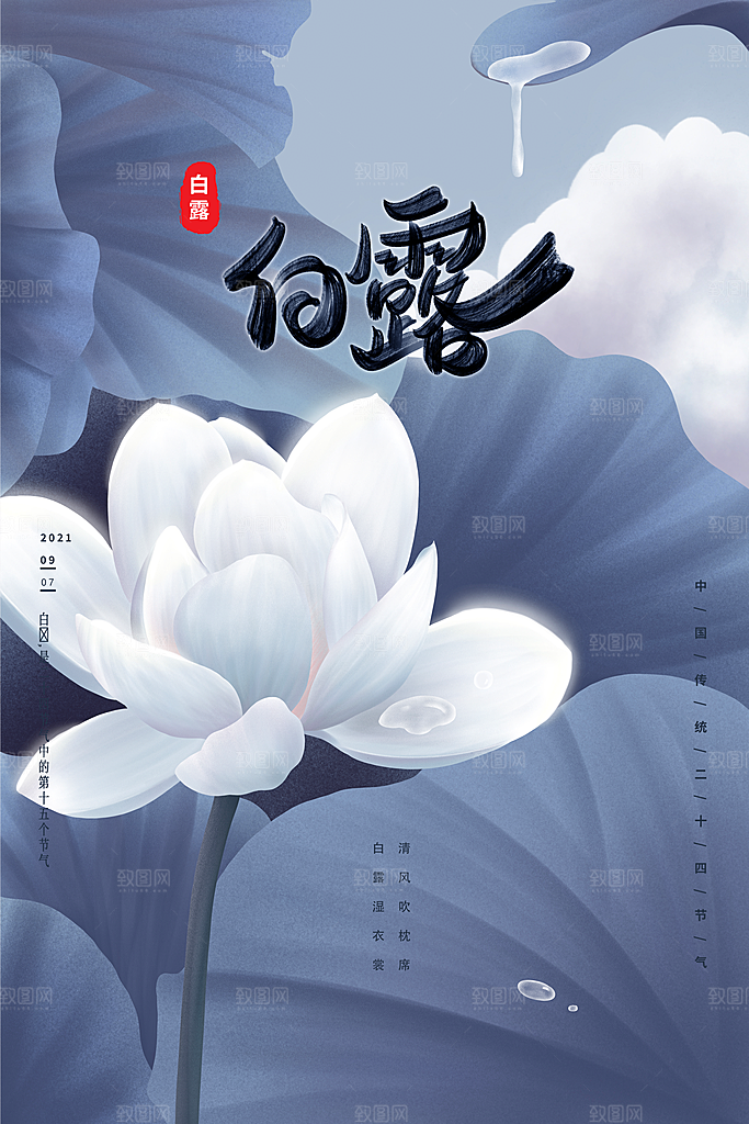 白露节气简约大气海报