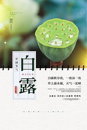 白露节气简约大气海报