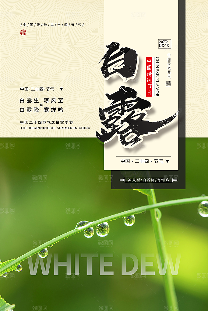 白露节气简约大气海报