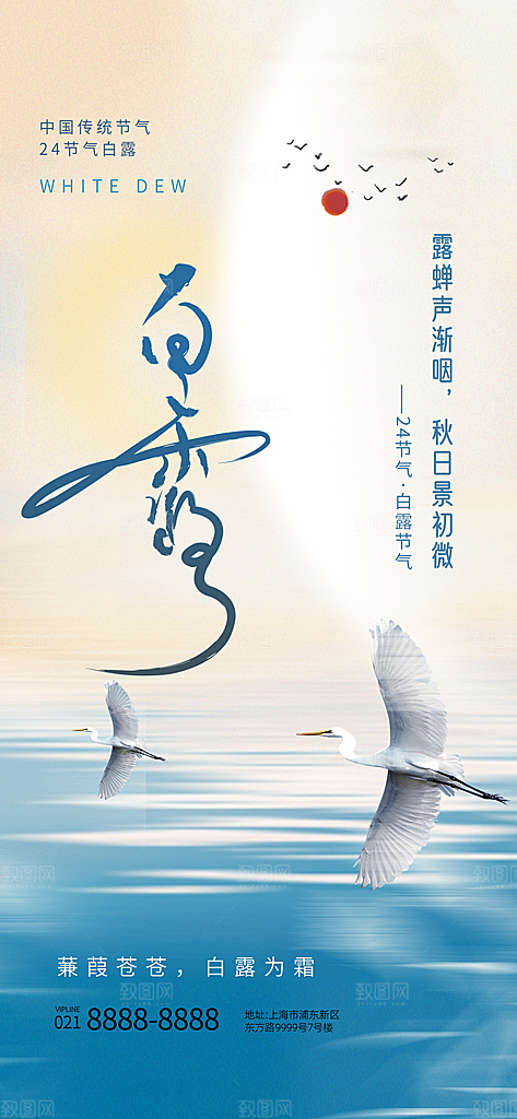 中国传统二十四节气白露节气宣传海报