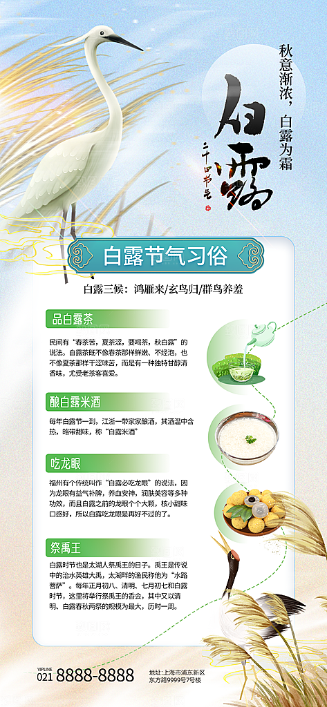 中国传统二十四节气白露节气宣传海报