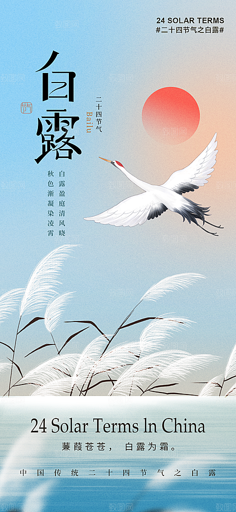 中国传统二十四节气白露节气宣传海报
