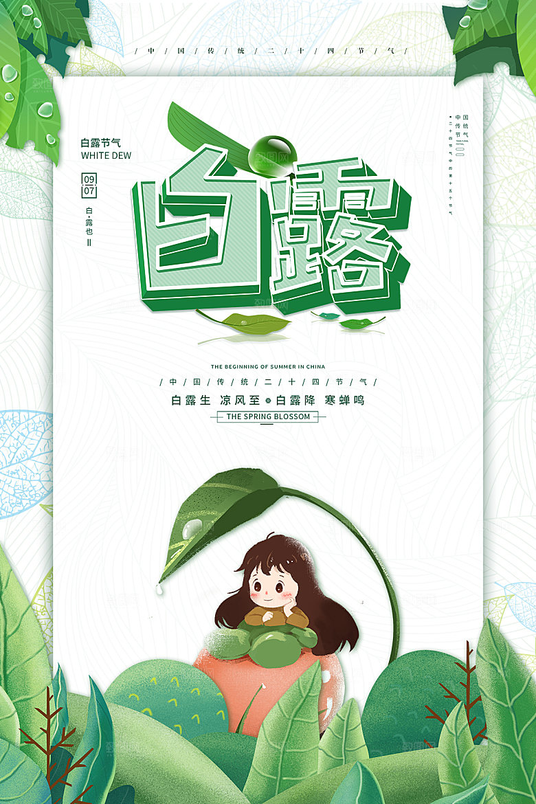 白露节气简约大气海报