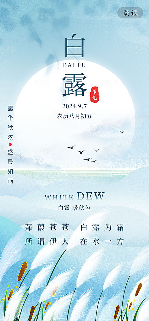 中国传统二十四节气白露节气宣传海报