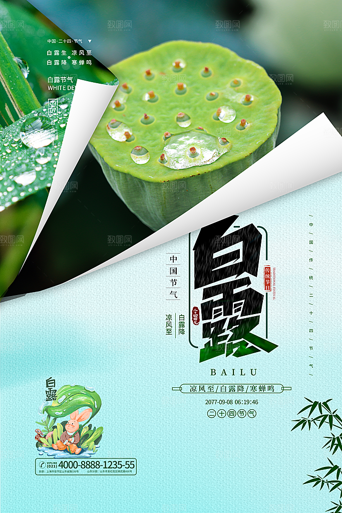 传统节气白露海报模板