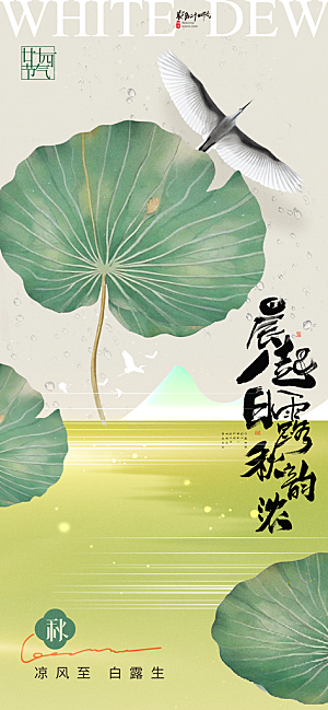 中国传统二十四节气白露节气宣传海报