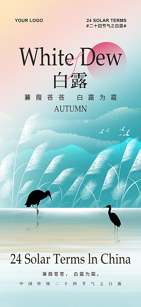 中国传统二十四节气白露节气宣传海报