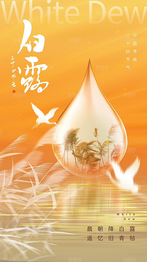 中国传统二十四节气白露节气宣传海报