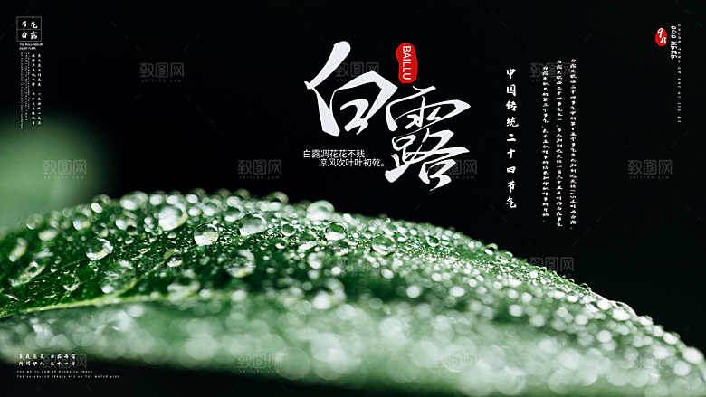 白露节气简约大气海报