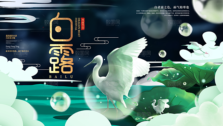 白露节气简约大气海报