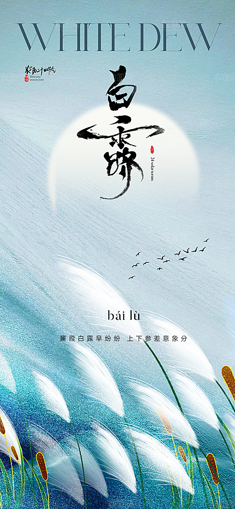 白露节气简约手机海报