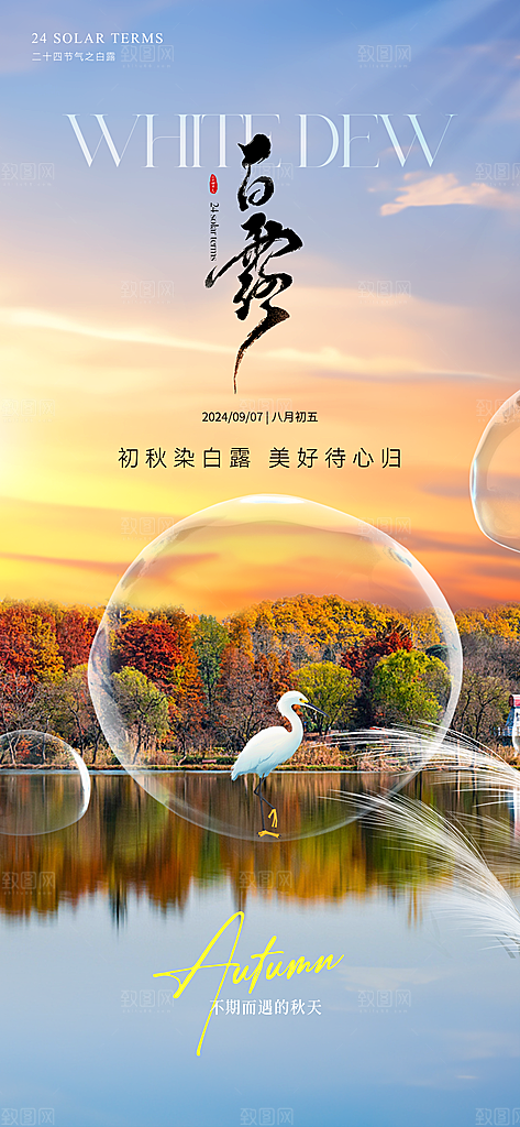 白露节气简约手机海报