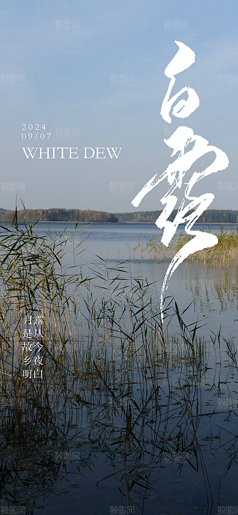 白露节气简约手机海报