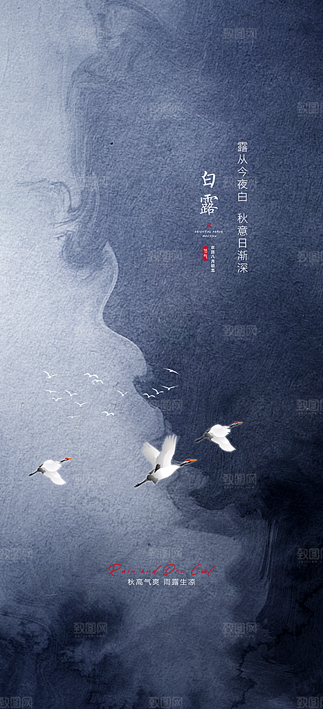 白露节气简约手机海报