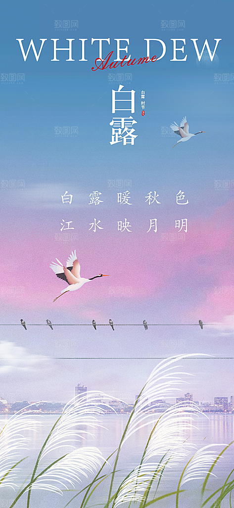 中国传统节气白露简约手机海报