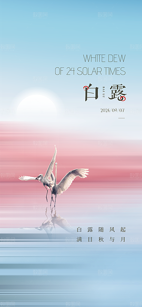中国传统节气白露简约手机海报
