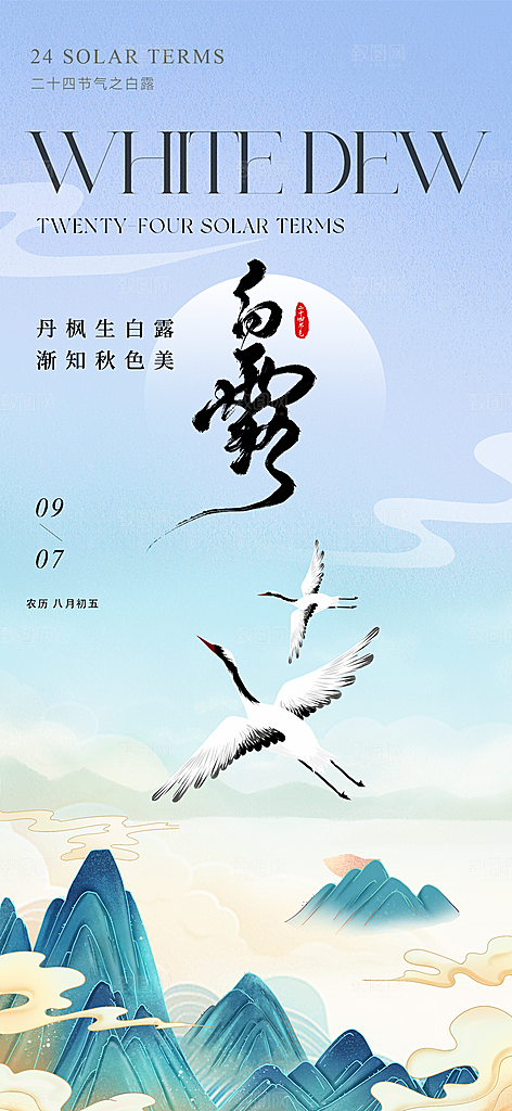 白露节气简约手机海报