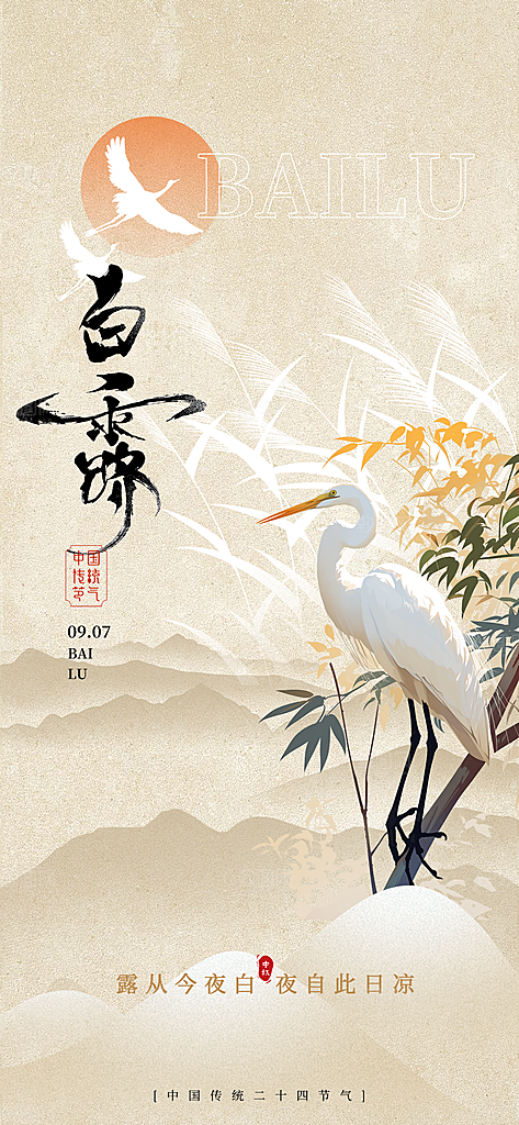白露节气简约手机海报