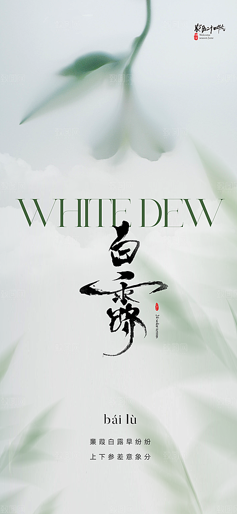 白露节气简约手机海报