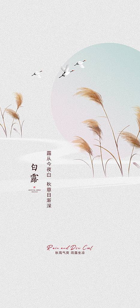 白露节气简约手机海报