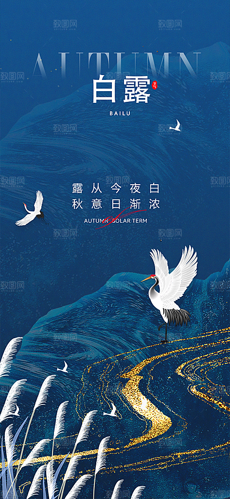 白露节气简约手机海报
