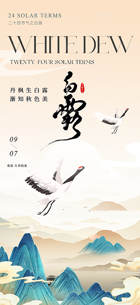 白露节气简约手机海报