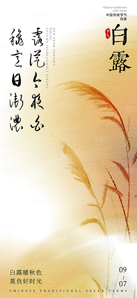 白露节气简约手机海报