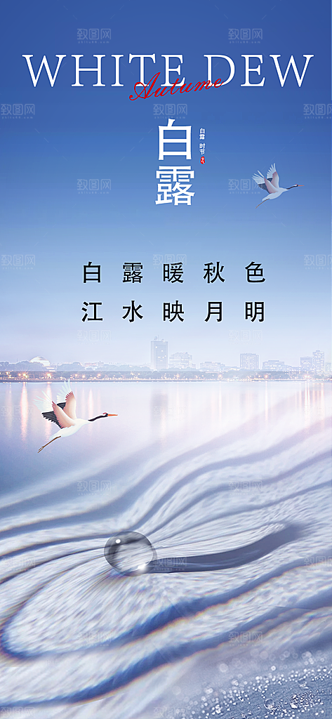 白露节气简约手机海报