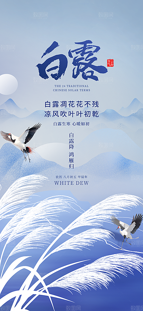 中国传统节气白露简约手机海报
