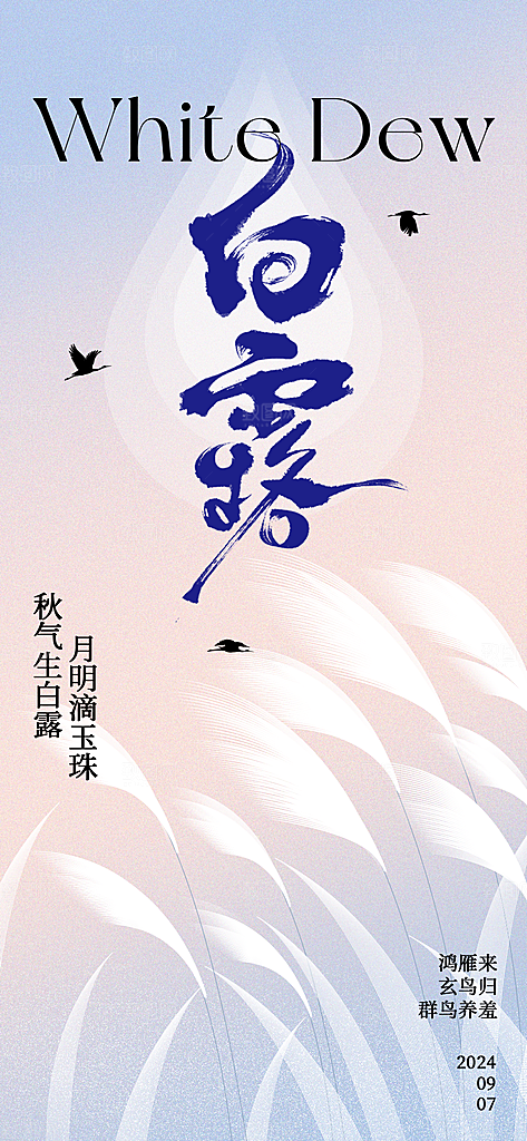 中国传统节气白露简约手机海报
