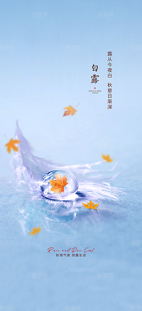 中国传统节气白露简约手机海报