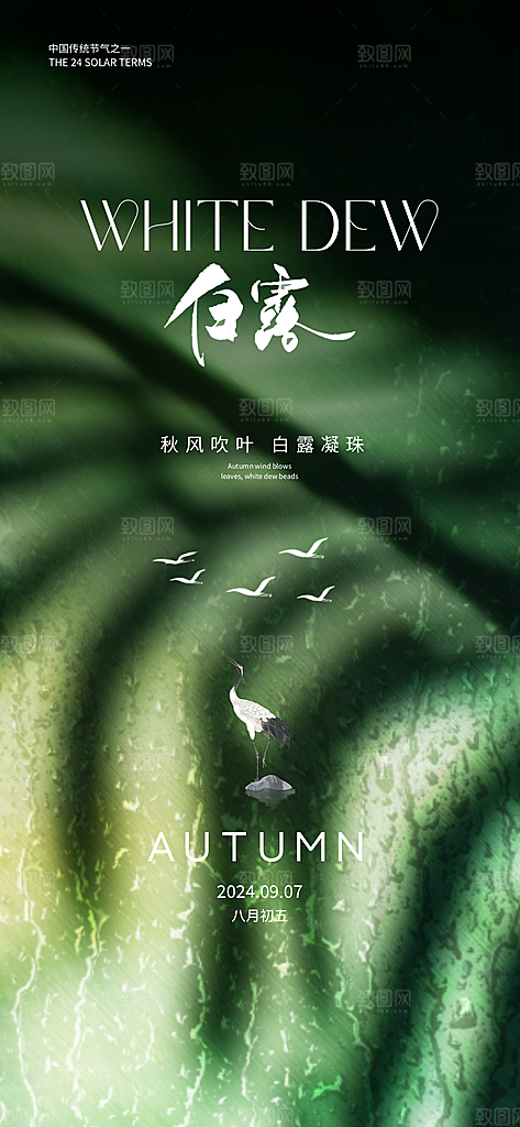 中国传统节气白露简约手机海报