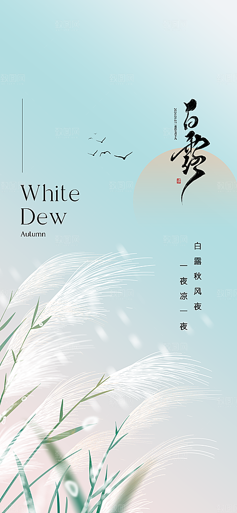 中国传统节气白露简约手机海报