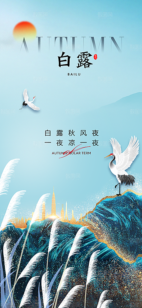 白露节气简约手机海报
