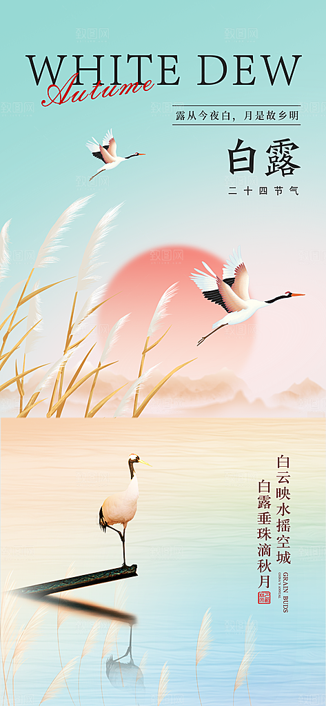 白露节气简约手机海报