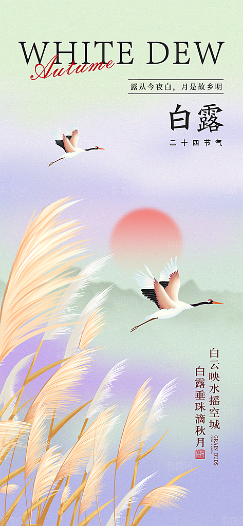 白露节气简约手机海报