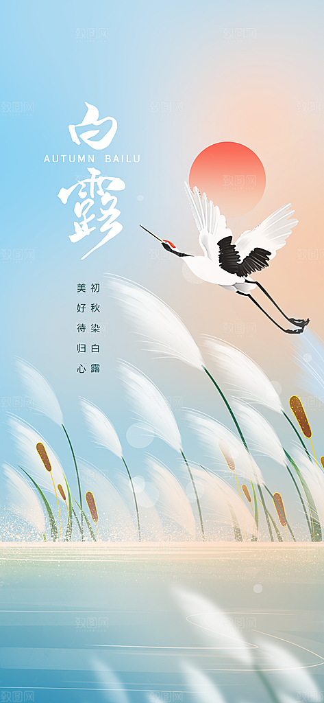 白露节气简约手机海报