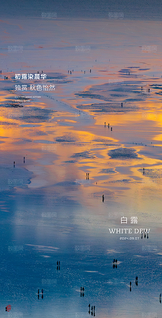 中国传统节气白露简约手机海报